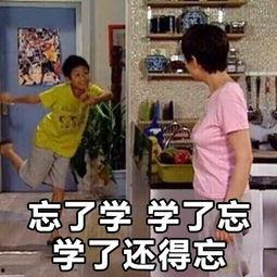 娱乐吃瓜酱不喜欢冬天,娱乐吃瓜酱偏爱暖阳时光